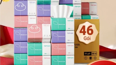 Thùng giấy ăn gấu trúc Top Gia 3 màu, làm từ bột giấy thiên nhiên, 4 lớp dày dặn